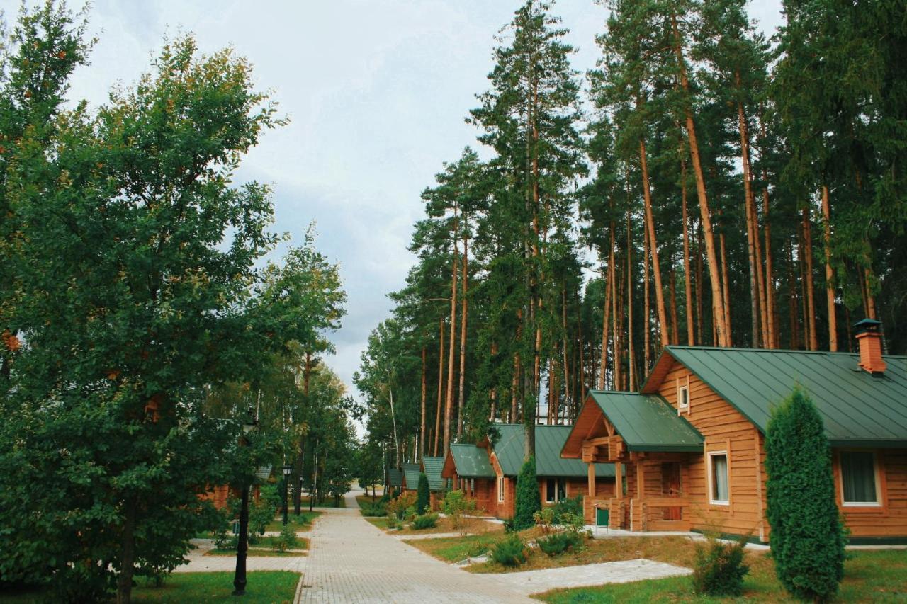 Green Park Hotel Airport Minsk Silichi Exterior photo